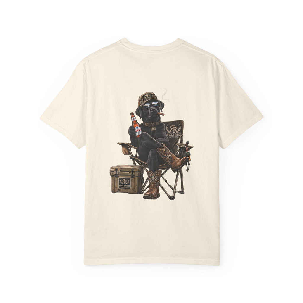 Darth Vader Tailgate T-Shirt — Beer, Cooler & Chair Graphic Tee